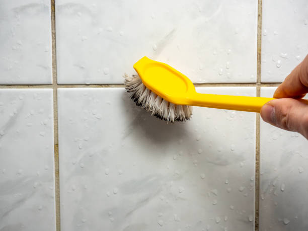 Mold Testing and Removal in Warren, IN