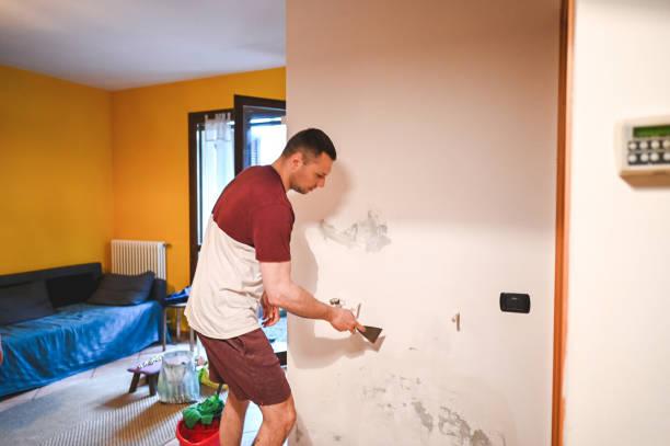 Best Mold Remediation Experts  in Warren, IN