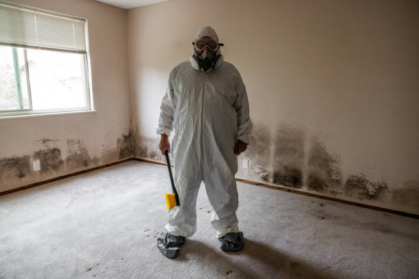 Best Mold Testing  in Warren, IN